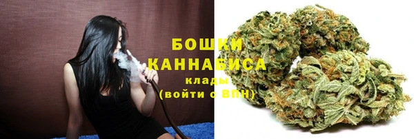 ГАЛЛЮЦИНОГЕННЫЕ ГРИБЫ Бородино