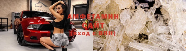 ГАЛЛЮЦИНОГЕННЫЕ ГРИБЫ Бородино